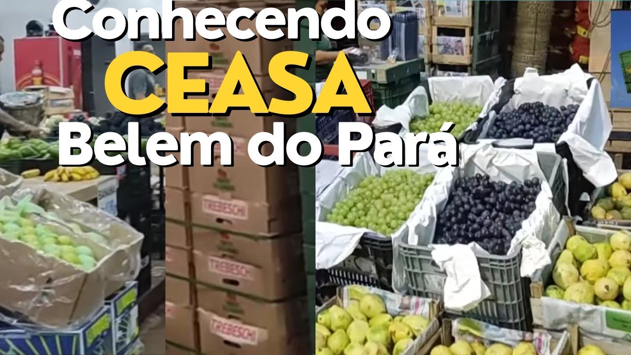 Ceasa de Belém - Pará