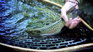 Unicoi Outfitters - Private Waters