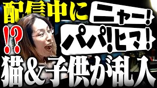 配信中に突然やってきた子供と暴れるムギ(猫)に翻弄されるお父さんSHAKA【切り抜きSHAKA】