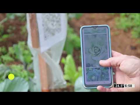 #NuestroAgro: EFA de Caraguatay tiene una huerta con lector de QR