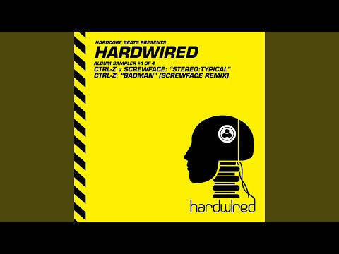 Stereo:typical (Original Mix)