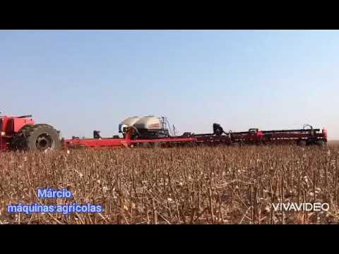 inicio plantio da soja conjunto trator e plantadeira case