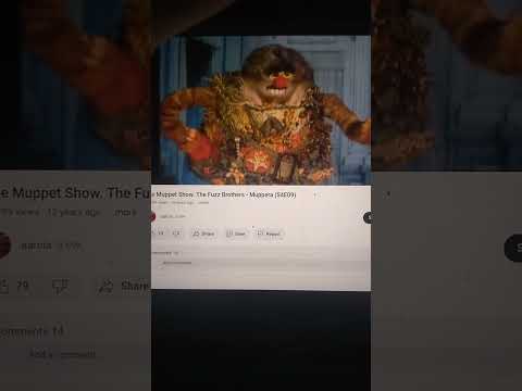 Muppet The Fuzz Brothers