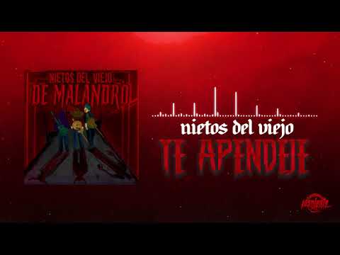 Nietos Del Viejo - Te Apendeje
