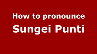 How to pronounce Sungei Punti