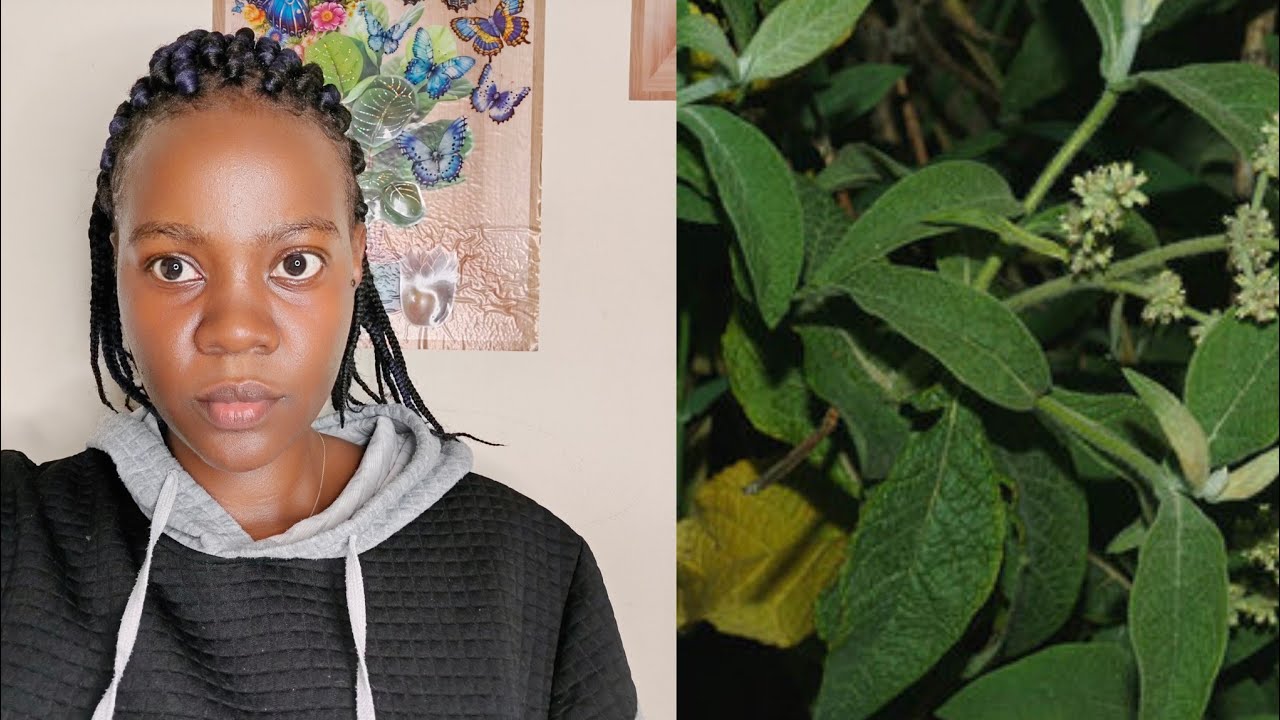 Edagala eligogola emisiwa omukira negwelega bulungi 