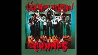 THE CRAMPS - Bend Over I&#39;ll Drive