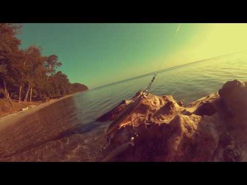 “Thor” Fra Fallkfish – Kystfiskeri efter havørred / seatrout