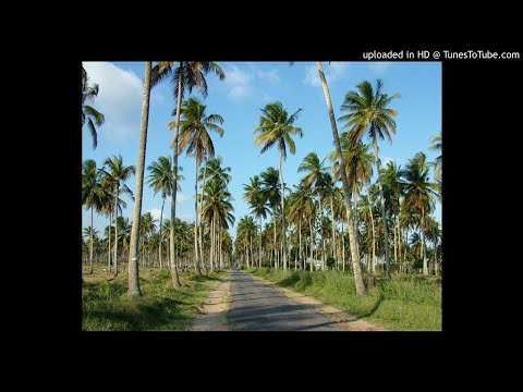 Mr Macanba e Chando - Dhafuna Dhone (feat Dedas)