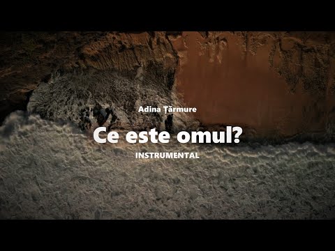 Adina Țărmure | Ce este Omul Instrumental (Official audio video)