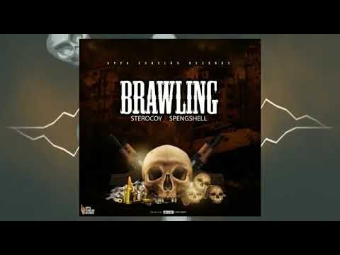 Sterocoy ft. Spengshell - Brawling (Official Audio)