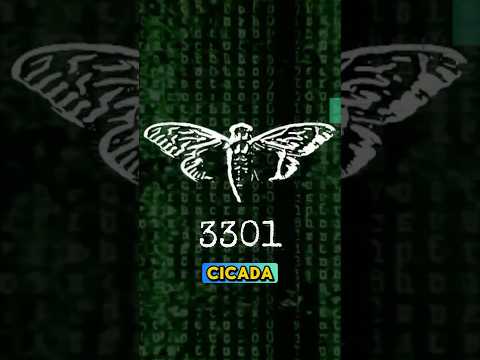 Cicada 3301: The Internet’s Greatest Unsolved Puzzle #shorts