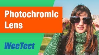 Photochromic Lenses and Visor Manufacturer -WeeTect 