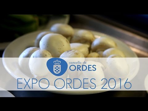 EXPO ORDES 2016