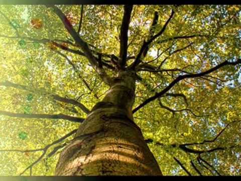 ☆ Už se mi nechce jít dál - Hana Zagorová