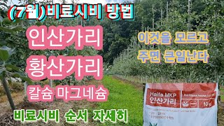 (7월)비료시비 방법과 순서/인산가리,황산가리,칼슘,마그네슘/길항작용 주의할점