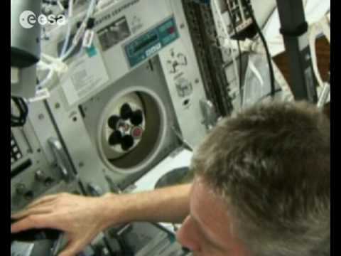 ESA's new astronauts