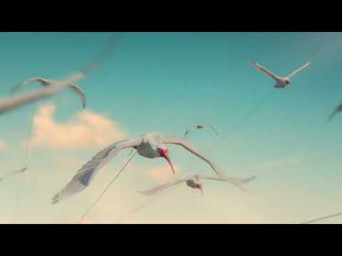 Cayman Islands time to jump in