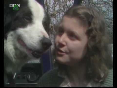 Look and Read: Dark Towers (9 of 10)