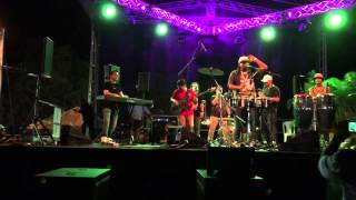 Lo Mio es la Salsa- Pirulo y La Tribu