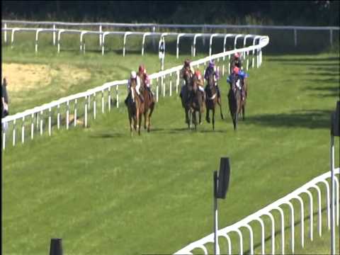 Galopprennbahn Dresden 07.06.2014 - 6.Rennen