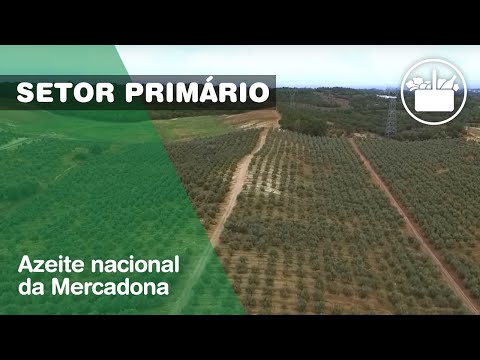 Azeite 100% nacional da Mercadona