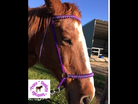 How to make a bitless bridle with paracord