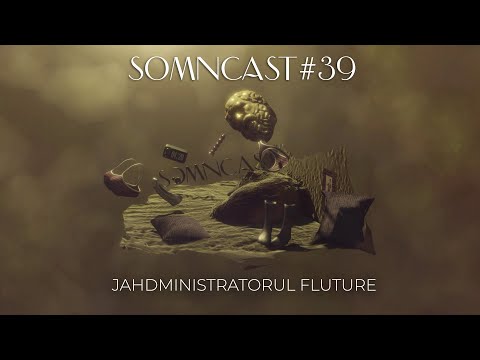Somncast #39 - Jahdministratorul fluture - cu Raul Gheba și Costel Bojog