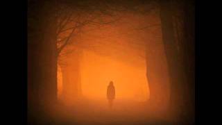 Lunatic soul - Gutter