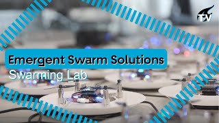 Emergent Swarm Solutions