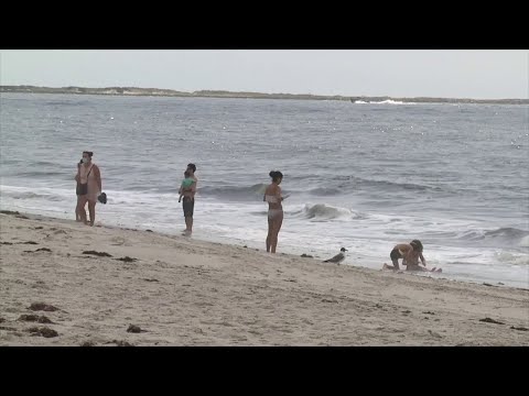 NY Long Island Suffolk County Beaches & Shark Attack Concerns