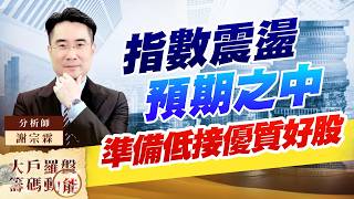 指數震盪預期之中 準備低接優質好股｜大戶羅盤籌碼動能 ｜謝宗霖 (圖)