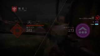 [Destiny2]　とりあえずアイアンバナー