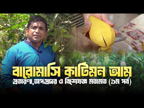 বারোমাসি কাটিমন আম-প্রতারণা,অপপ্রচার ও বিশেষজ্ঞ মতামত (১ম পর্ব)
