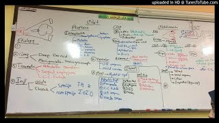 33) Dr. Wael Salah orbit (1)