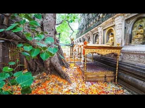 The Long Discourses: Sutta 1 - Brahmajāla Sutta: The All Embracing Net Of Views