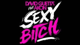 David Guetta Remix