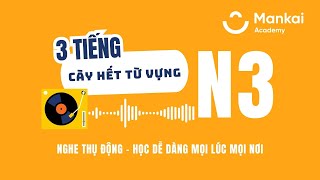 3 TIẾNG Học hết từ vựng JLPT N3- Nghe thụ động- Học dễ dàng mọi lúc mọi nơi