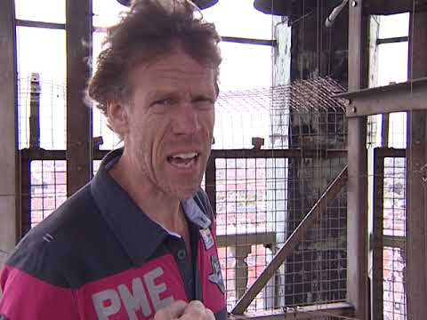 Carillon Martinitoren en Petrus van Oeckelen - Beno’s Stad 337 (3-7-2008)