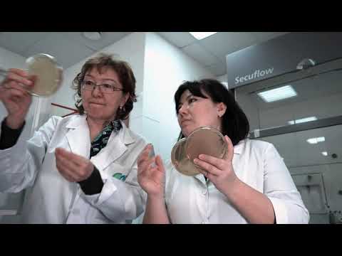 "MC SEZ "Astana - Technopolis" JSC