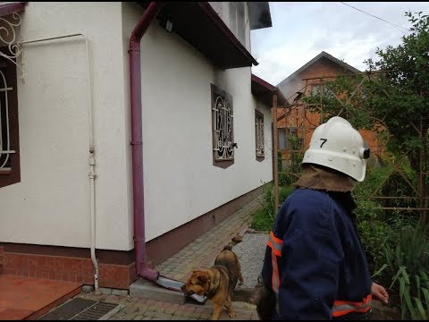 Слідчий розповів деталі про загибель відомого коломийського подружжя. ВІДЕО