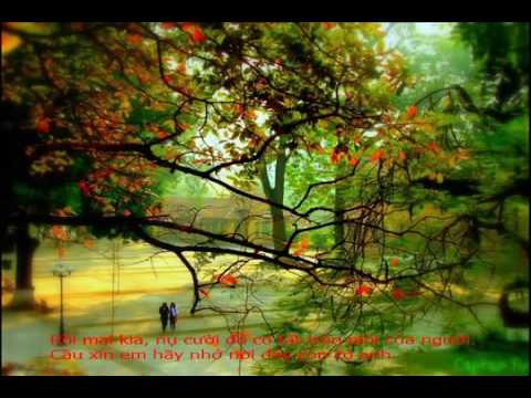 Tình yêu đầu tiên - Đan Trường