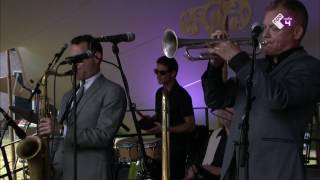 New Cool Collective - Electric Monkey Sessions | Wonderfeel 2016