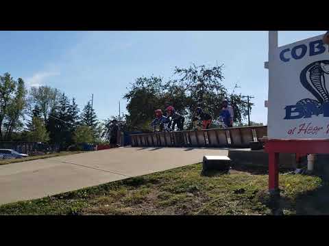 9-22-19. Cobra BMX, 9x