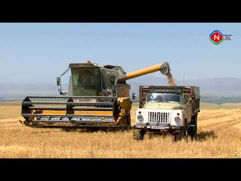 Bərəkət - 17.06.2022