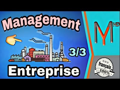 Management S1(EP 04): l'environnement Micro & Macro de l'entreprise