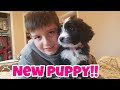 Kids Got A New Puppy Dog Today Meet Peppermint Newest Member Of The Family