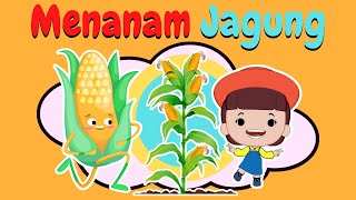 Download lagu Menanam Jagung | Nursery Rhymes Karaoke Songs | Kalaoke | Lagu Anak mp3 Download lagu Menanam Jagung | Nursery Rhymes Karaoke Songs | Kalaoke | Lagu Anak mp3