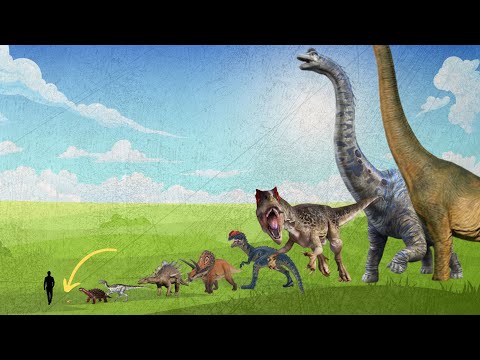 Comparing the size of dinosaurs - from smallest to largest