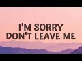 SLANDER - I'm sorry don't leave me (Love Is Gone) (Lyrics) ft. Dylan Matthew (Acoustic)